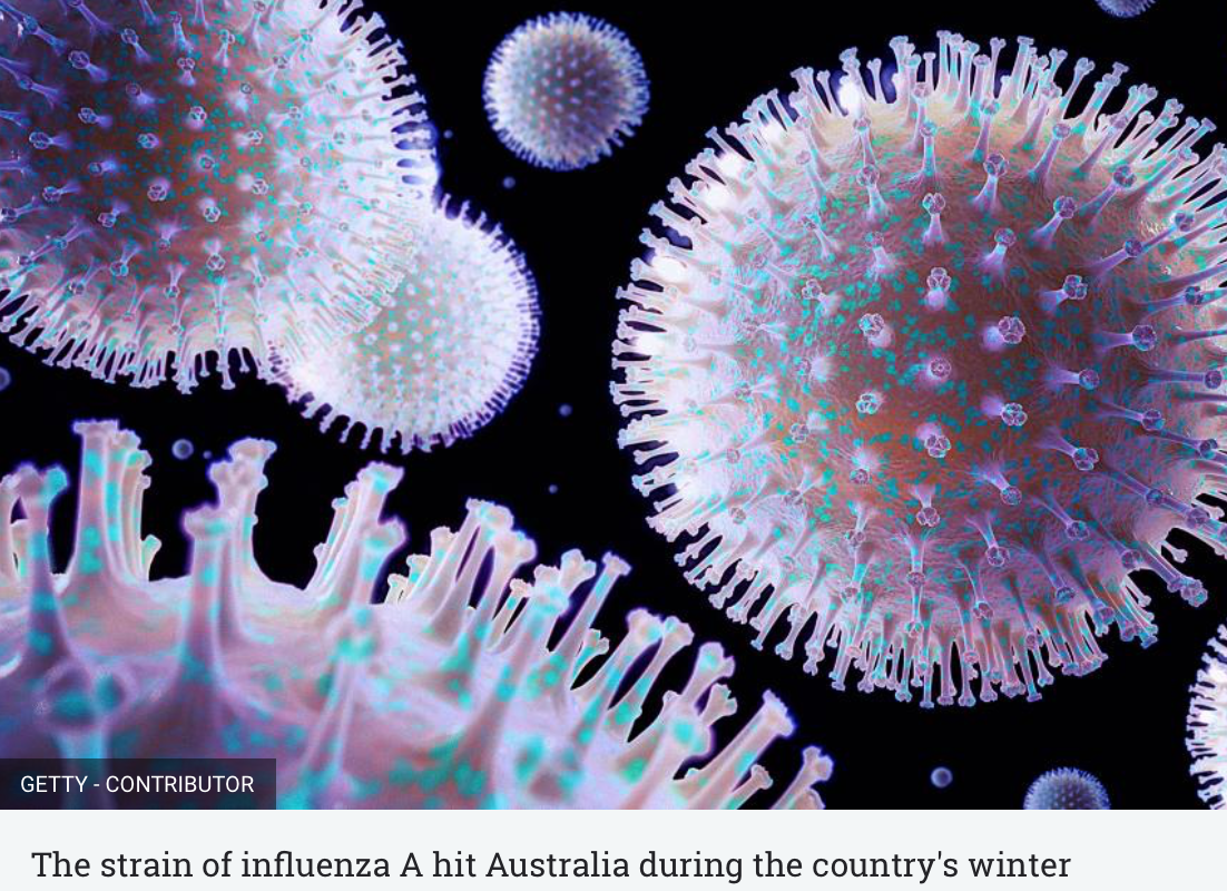 Stigande H3N2-influensaaktivitet: Vad du behöver veta och hur du kan förbli skyddad