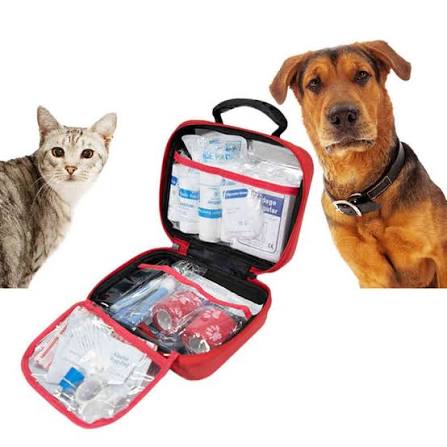 The Ultimate Travel Companion: Varför vår EVA Pet Carrier Bag är en spelväxling för husdjursföräldrar